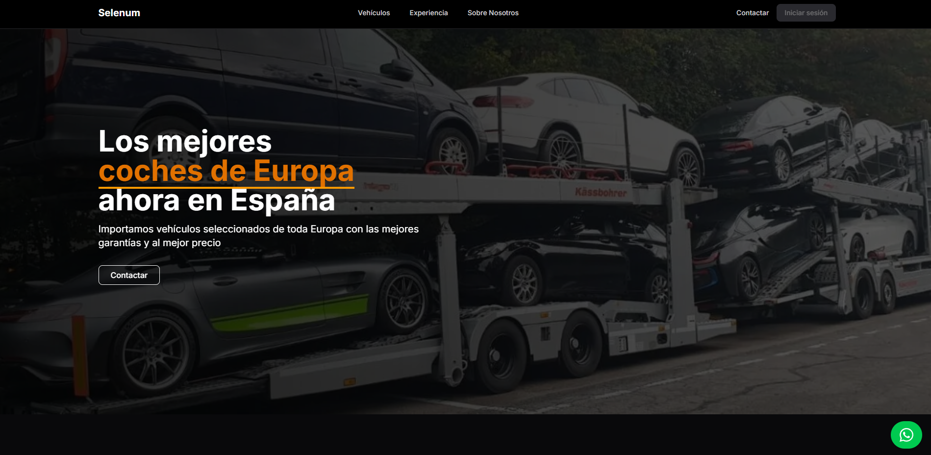 Selenum - Importación de Coches screenshot 1